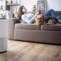 Invest in the Best HVAC Home Air Filters for Allergies