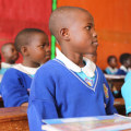 The Role of Public and Private Schools in the US